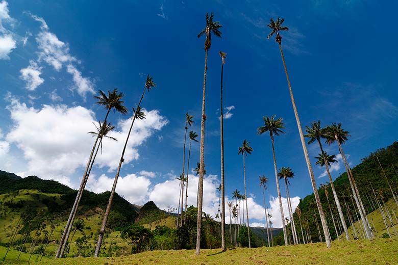 Colombia_15_jours_bgatravel