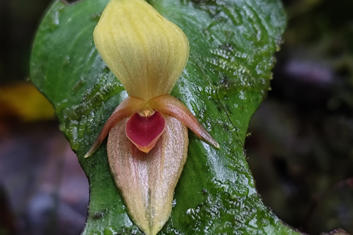 BGA Travel Biodiversity Culture Adventure