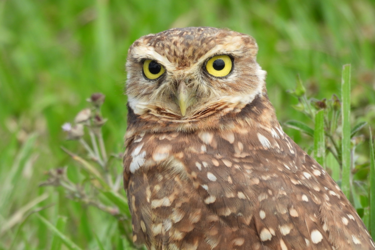 BGA Travel Biodiversity Culture Adventure