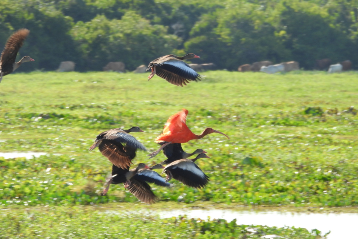 BGA Travel Biodiversity Culture Adventure