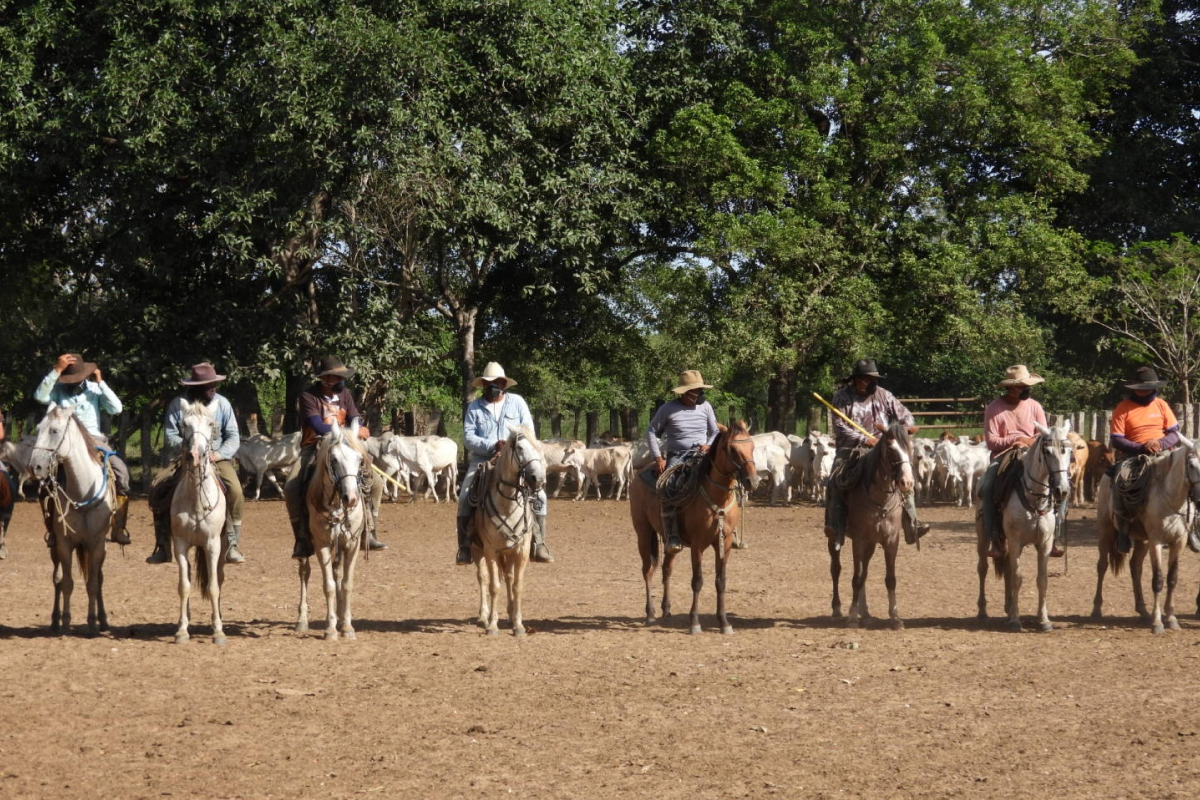 BGA Travel Biodiversity Culture Adventure
