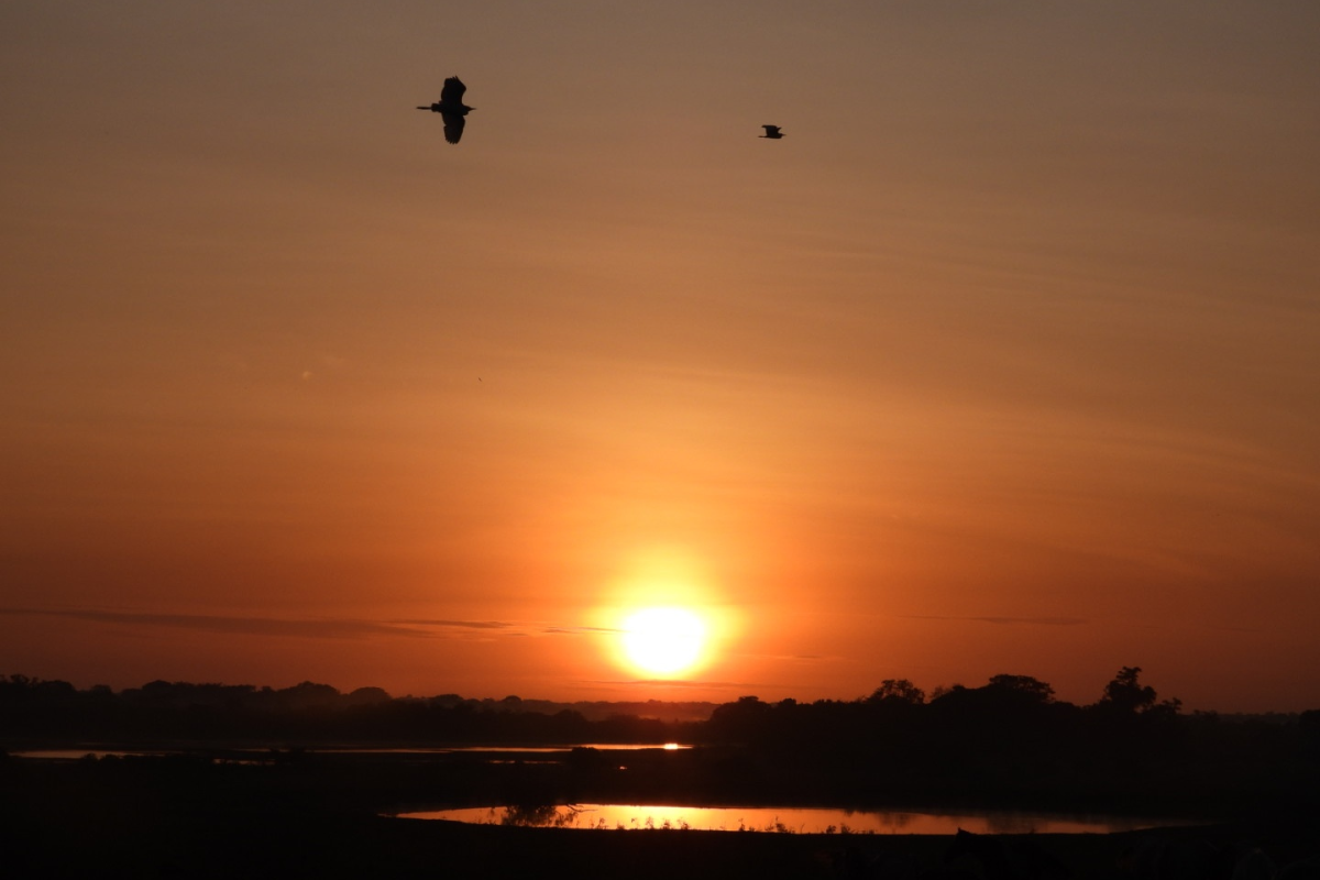 BGA Travel Biodiversity Culture Adventure