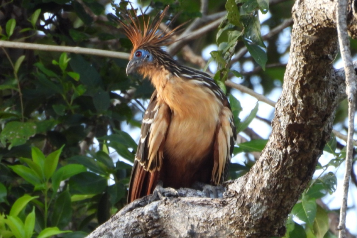 BGA Travel Biodiversity Culture Adventure