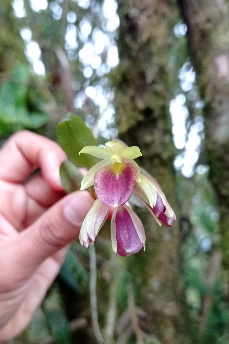 BGA Travel Biodiversity Culture Adventure