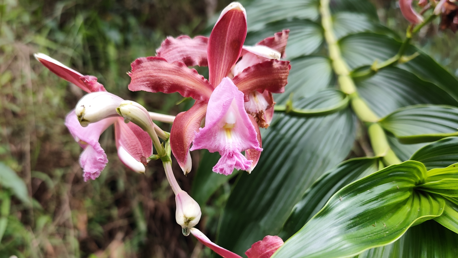 BGA Travel Biodiversity Culture Adventure