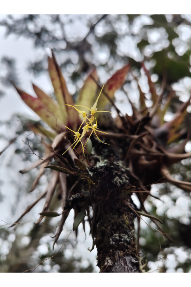 BGA Travel Biodiversity Culture Adventure