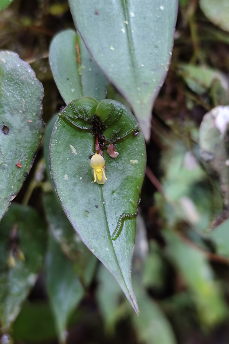 BGA Travel Biodiversity Culture Adventure