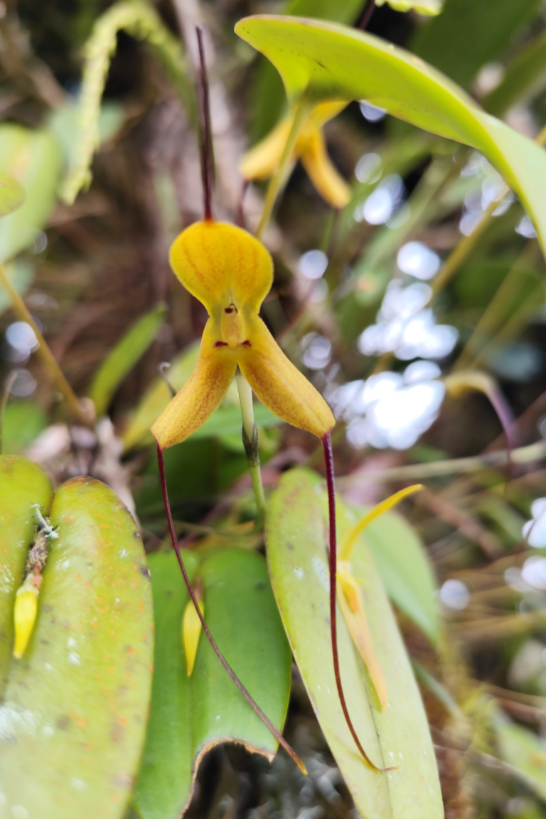 BGA Travel Biodiversity Culture Adventure