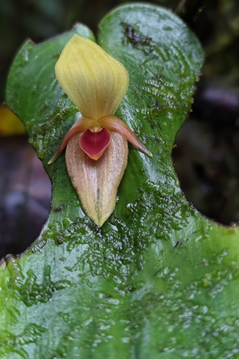 BGA Travel Biodiversity Culture Adventure