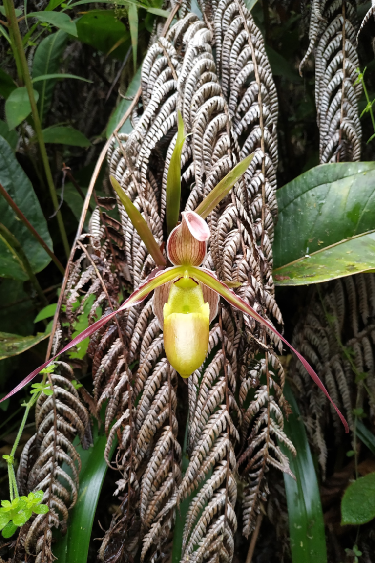 BGA Travel Biodiversity Culture Adventure