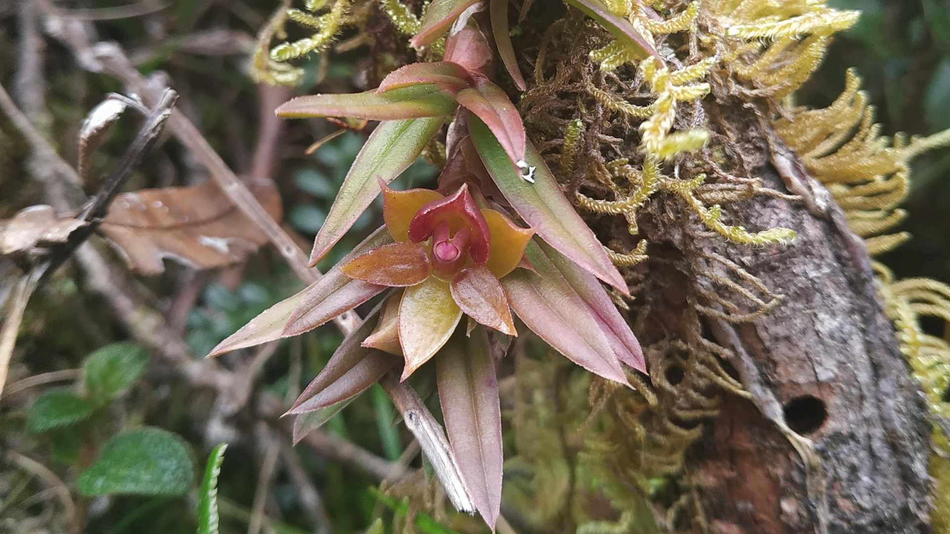 BGA Travel Biodiversity Culture Adventure