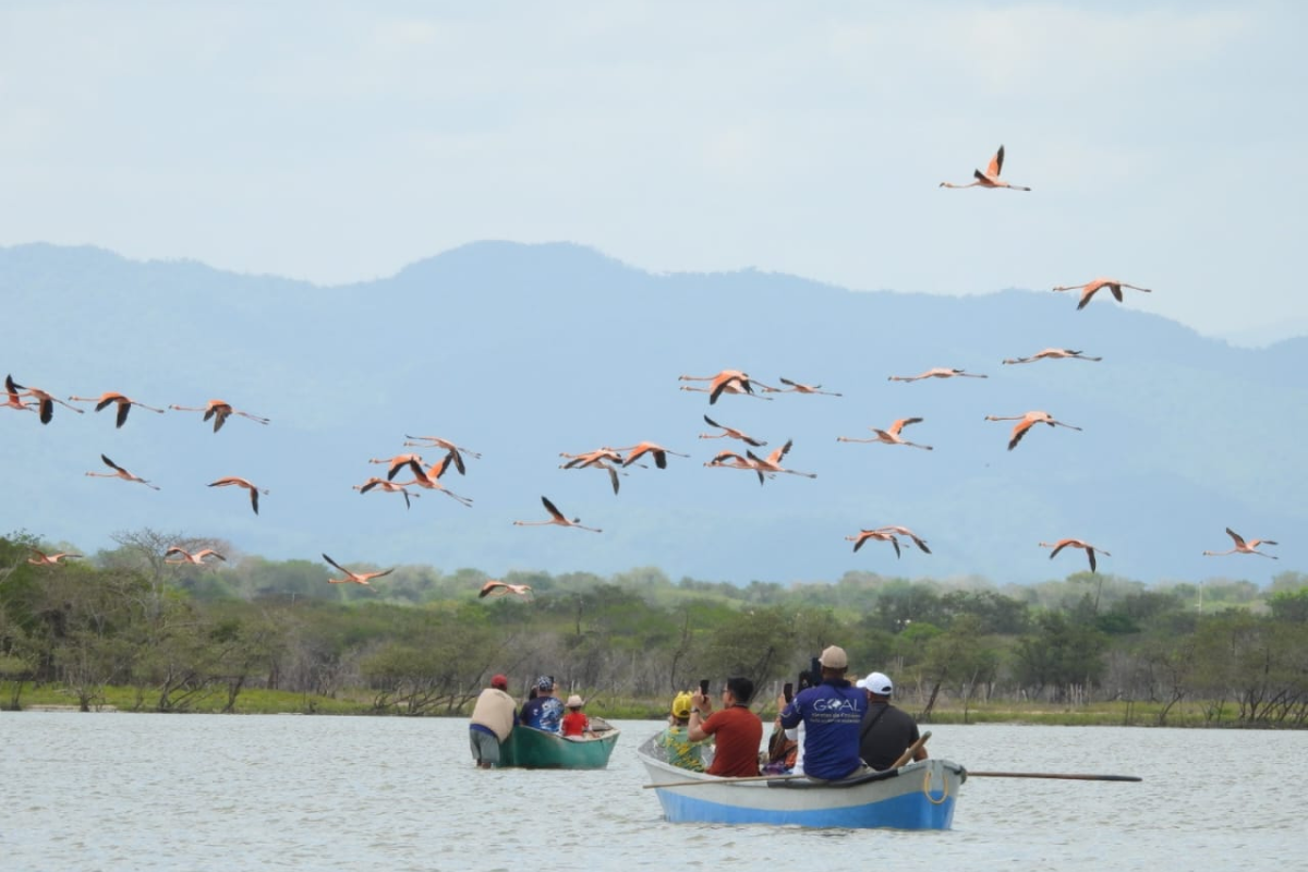 BGA Travel Biodiversity Culture Adventure